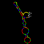 RNAmovie of the E.coli trp-Attenuator changing between its two possible conformations.